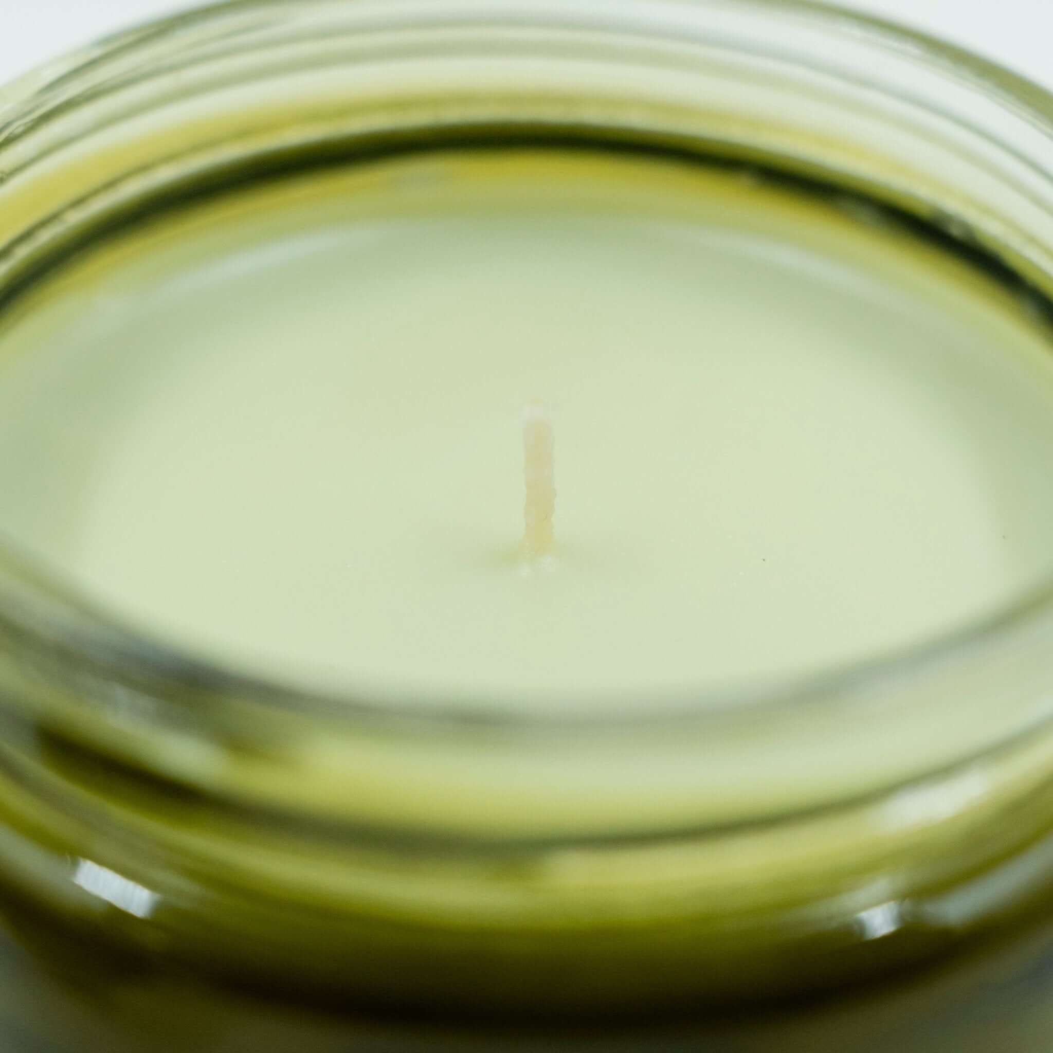 Mossy Grove - 7oz Candle - PX Candles