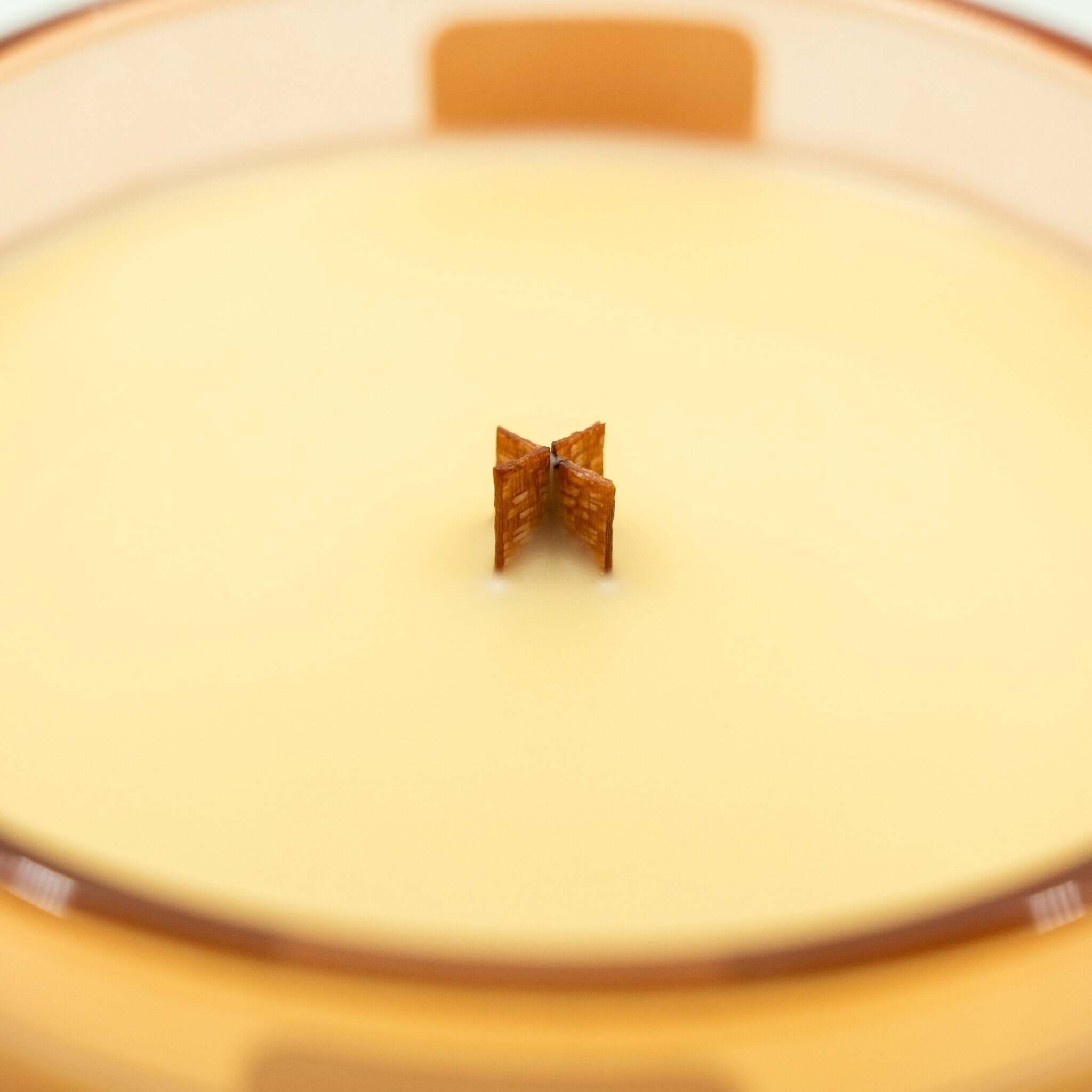 Sunset Solace - 7oz Candle - PX Candles